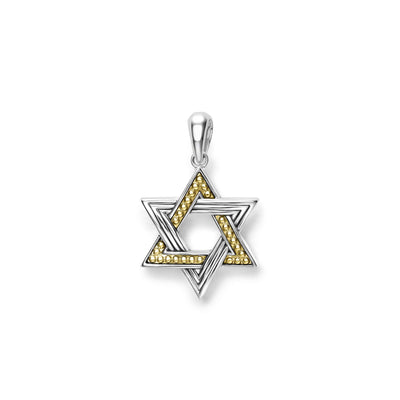 Anthem Large Two-Tone Star of David Amulet