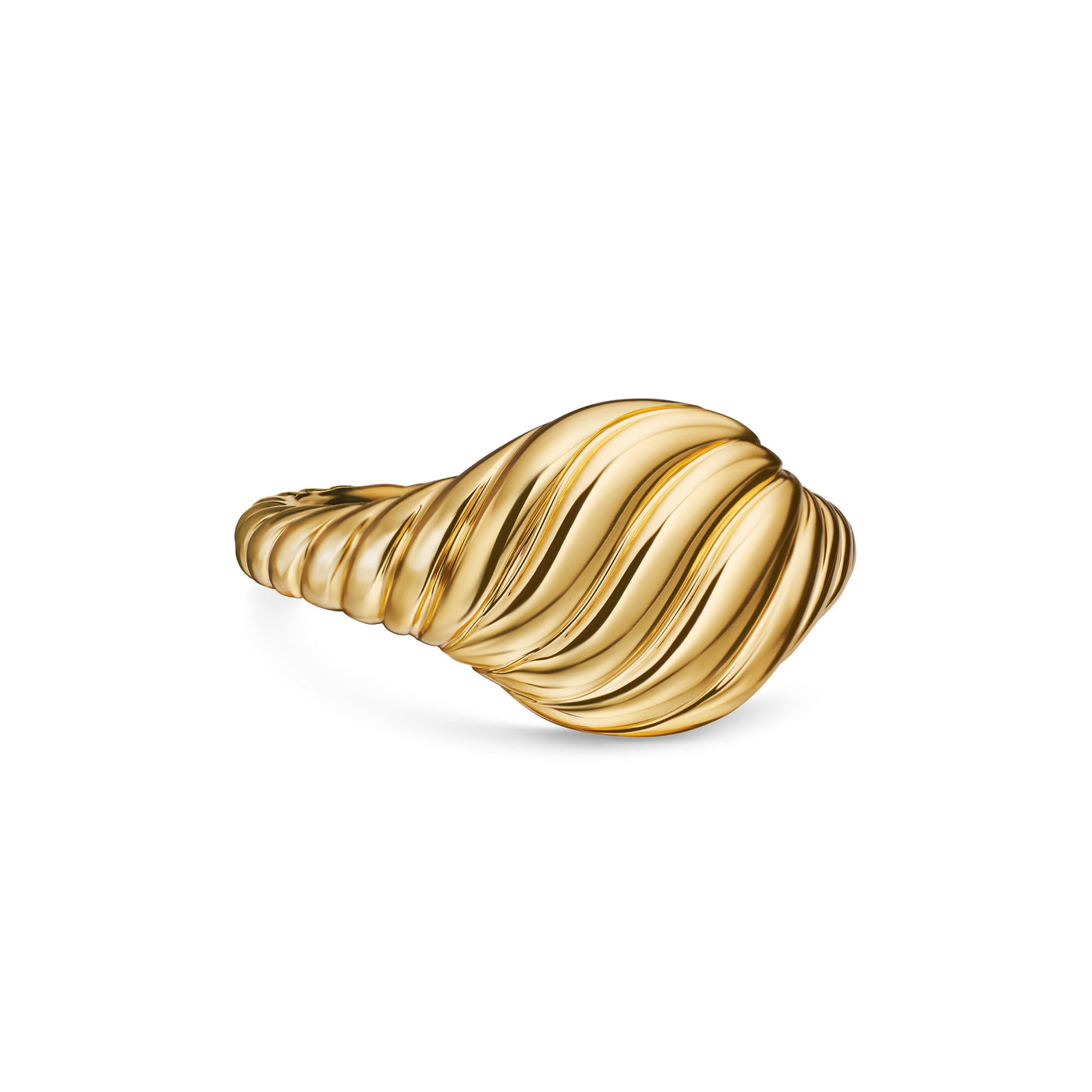 Sculpted Cable Pinky Ring in 18K Yellow Gold\, 9.7mm